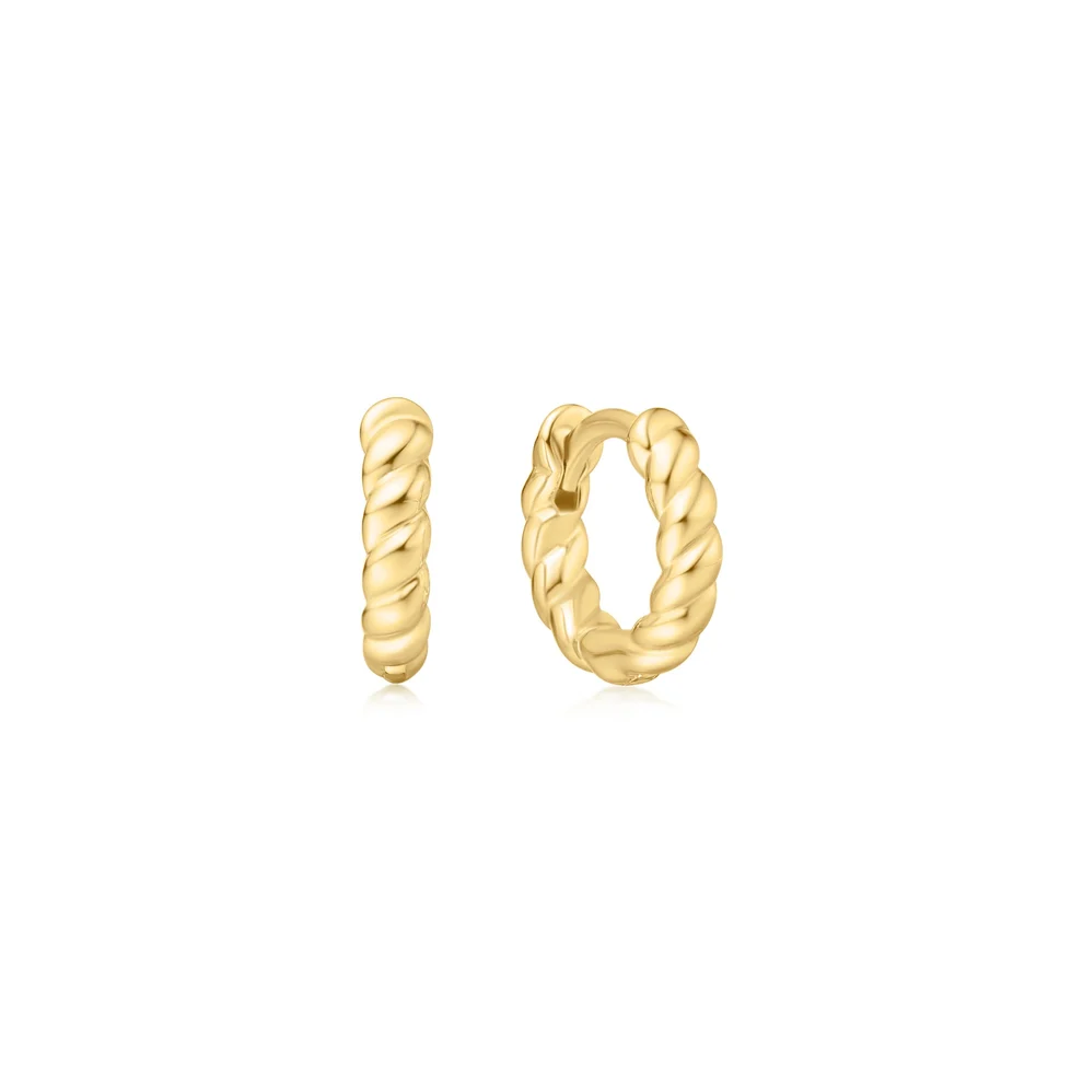 Boucles d'oreilles pour femme en argent 925, cubic zirconium - E063-03G - Ania Haie