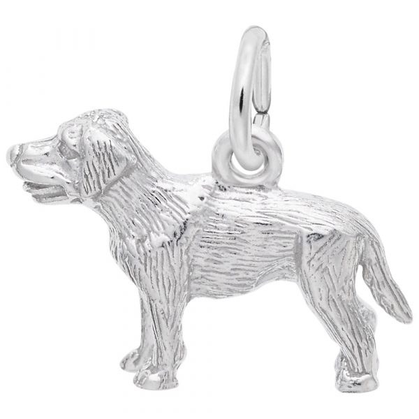 Pendentif en argent 925, labrador