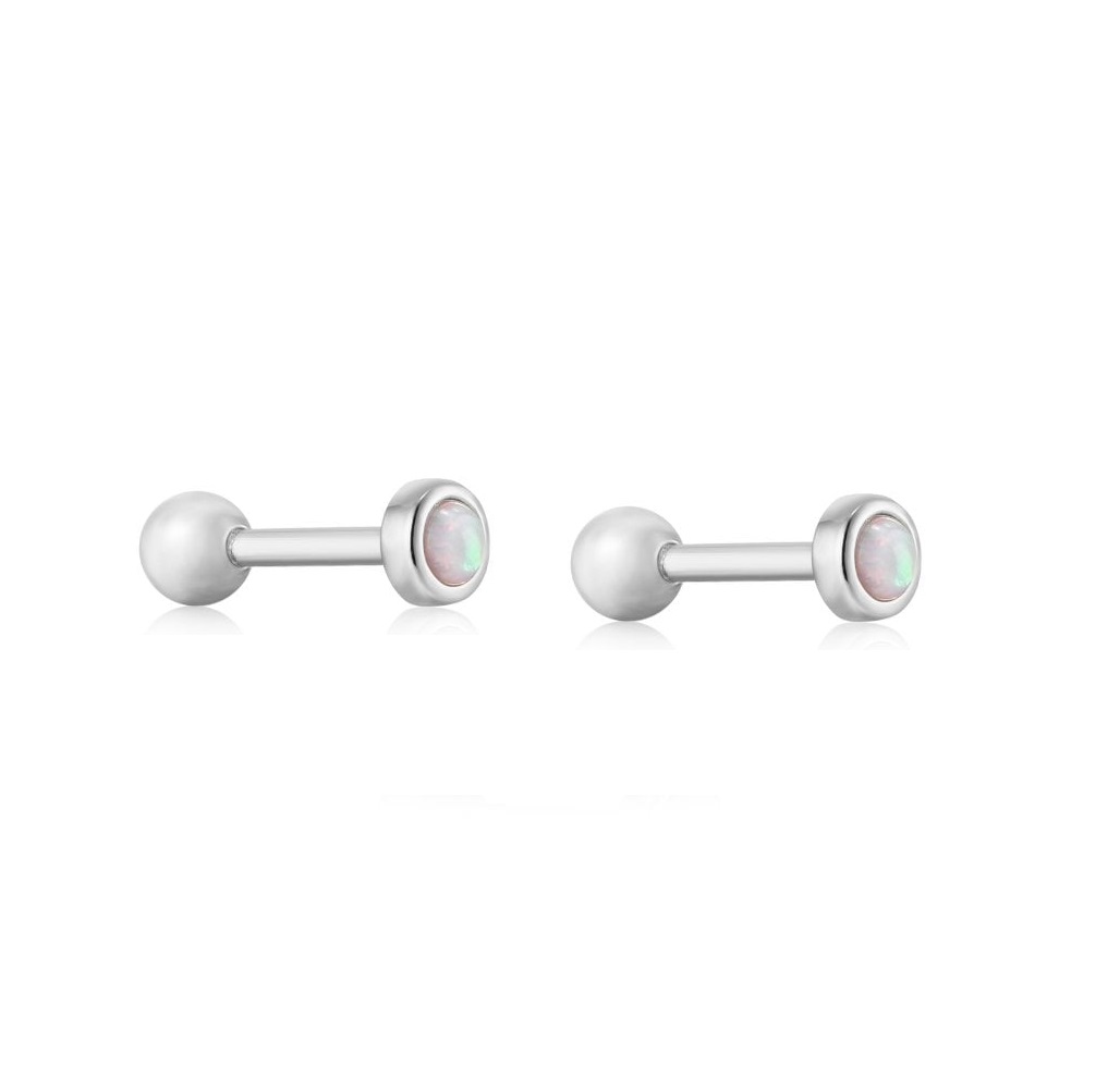 Boucles d'oreilles vissées pour femme en argent 925 - E035-11H - Ania Haie