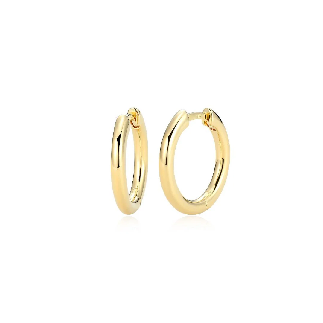 Boucles d'oreilles pour femme en argent 925 - 32AUPHA00N - Reign