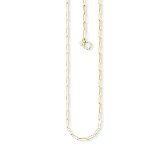 Chaine en argent 925 - X0254-413-39-L45 - Thomas Sabo