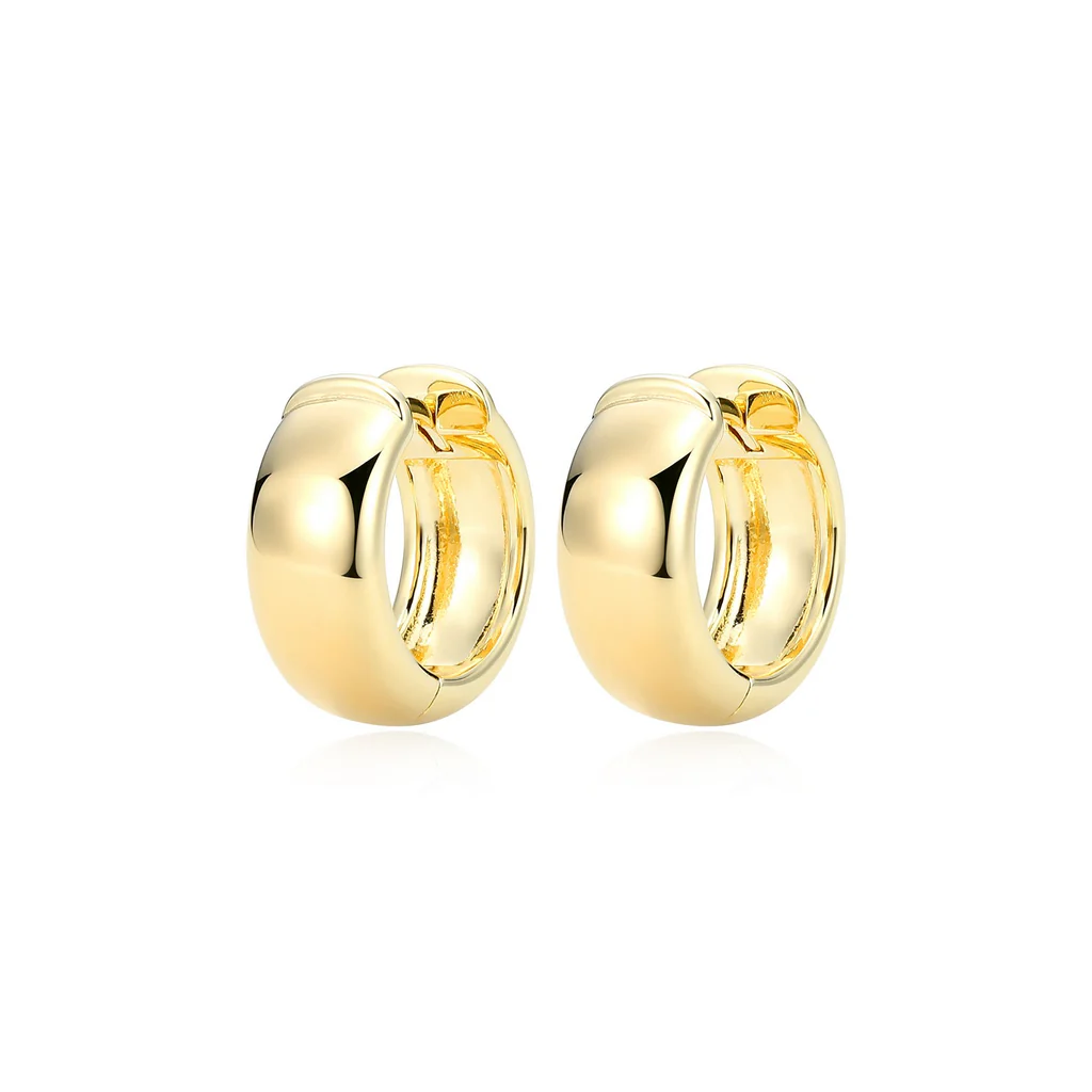 Boucles d'oreilles pour femme en argent 925 - 32AUPBA027 - Reign