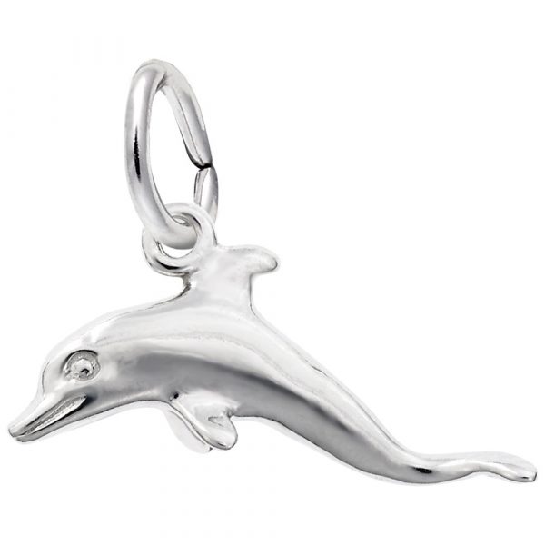 Pendentif en argent 925, dauphin
