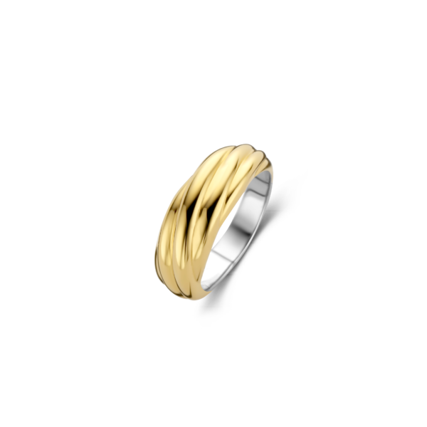 Bague pour femme en argent 925 - 12239SY/54 - Ti Sento Milano