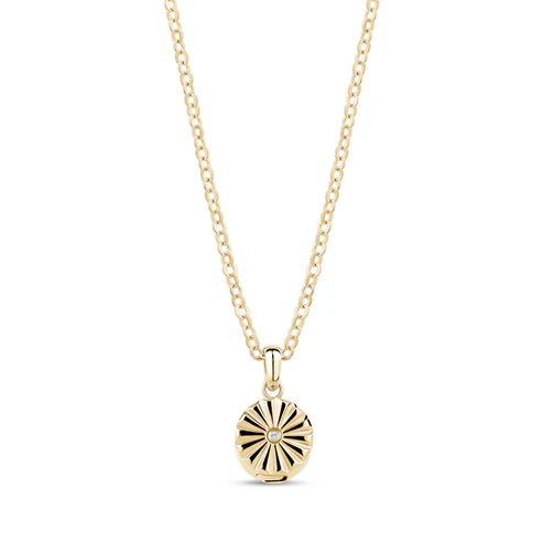 Pendentif pour femme en stainless, fleur, cendre - ZW-P58G-17 - Arezzo