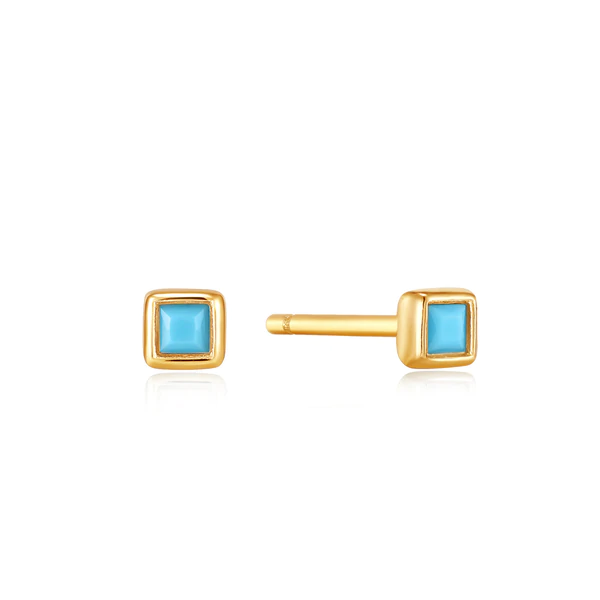 Boucles d'oreilles pour femme en argent 925 - E033-01G - Ania Haie