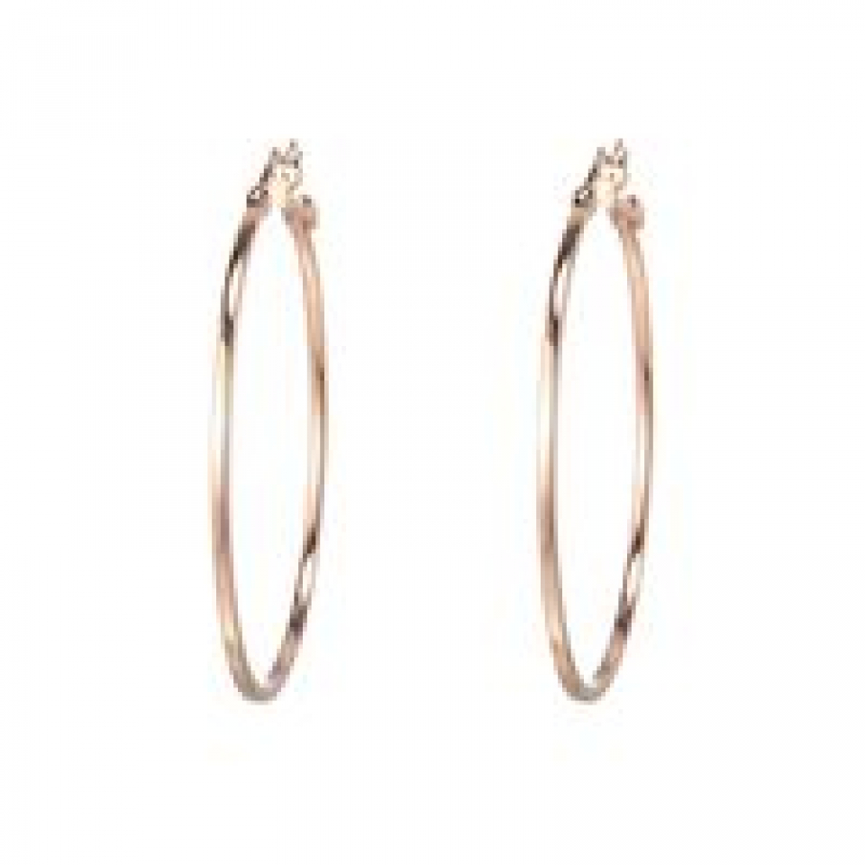 Boucles d'oreilles pour femme en argent 925