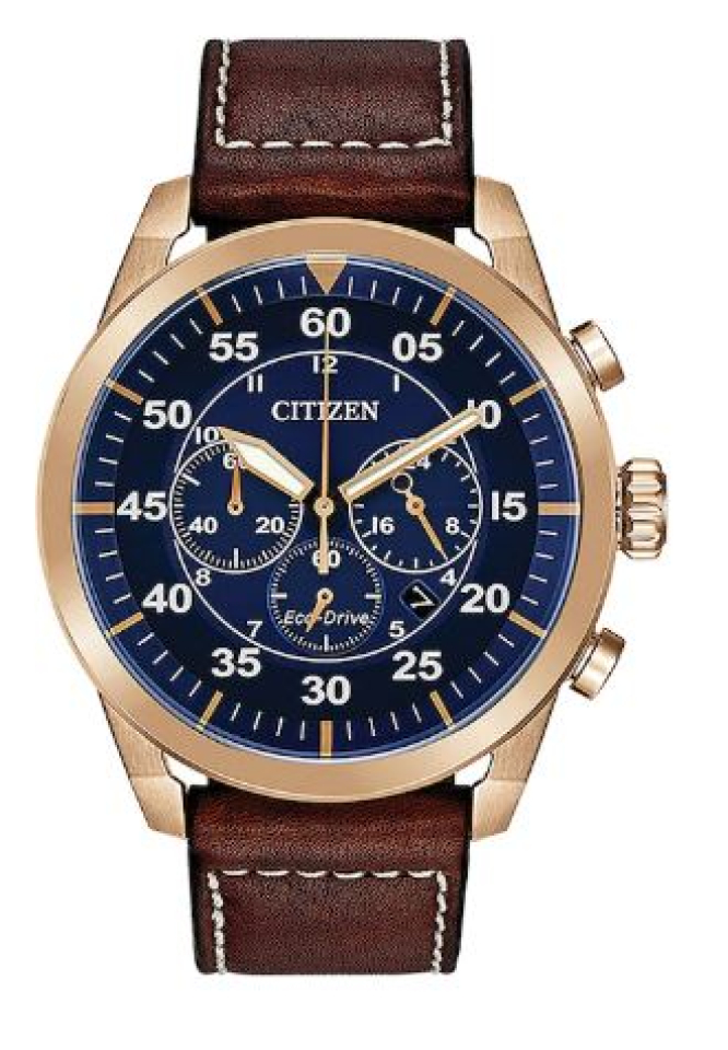 Montre pour homme en stainless, bracelet de cuir, Eco-Drive, 10ATM - CA4213-18L - Citizen