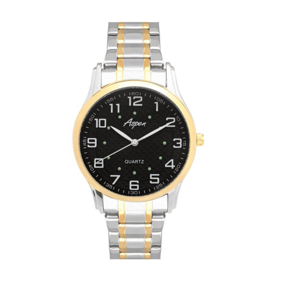 Montre pour homme - AP3174-4 - Aspen