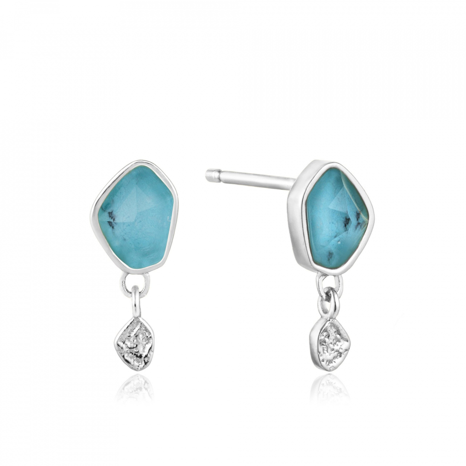 Boucles d'oreilles pour femme en argent 925 - E014-01H - Ania Haie