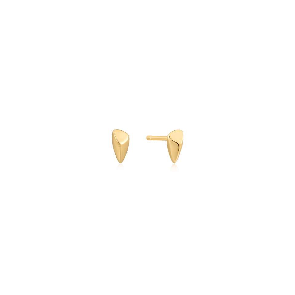 Boucles d'oreilles pour femme en argent 925 - E049-03G - Ania Haie