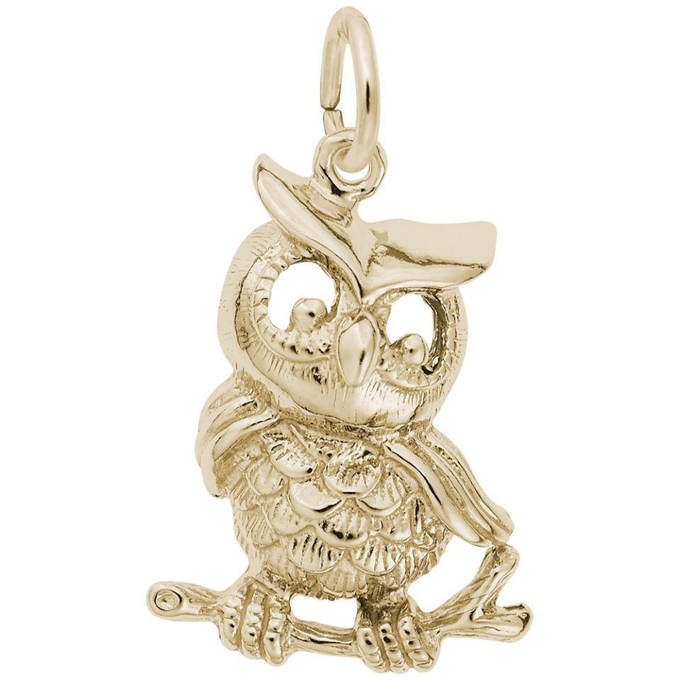 Pendentif en argent 925, hibou - 10-5335-000-GP - Rembrandt Charms