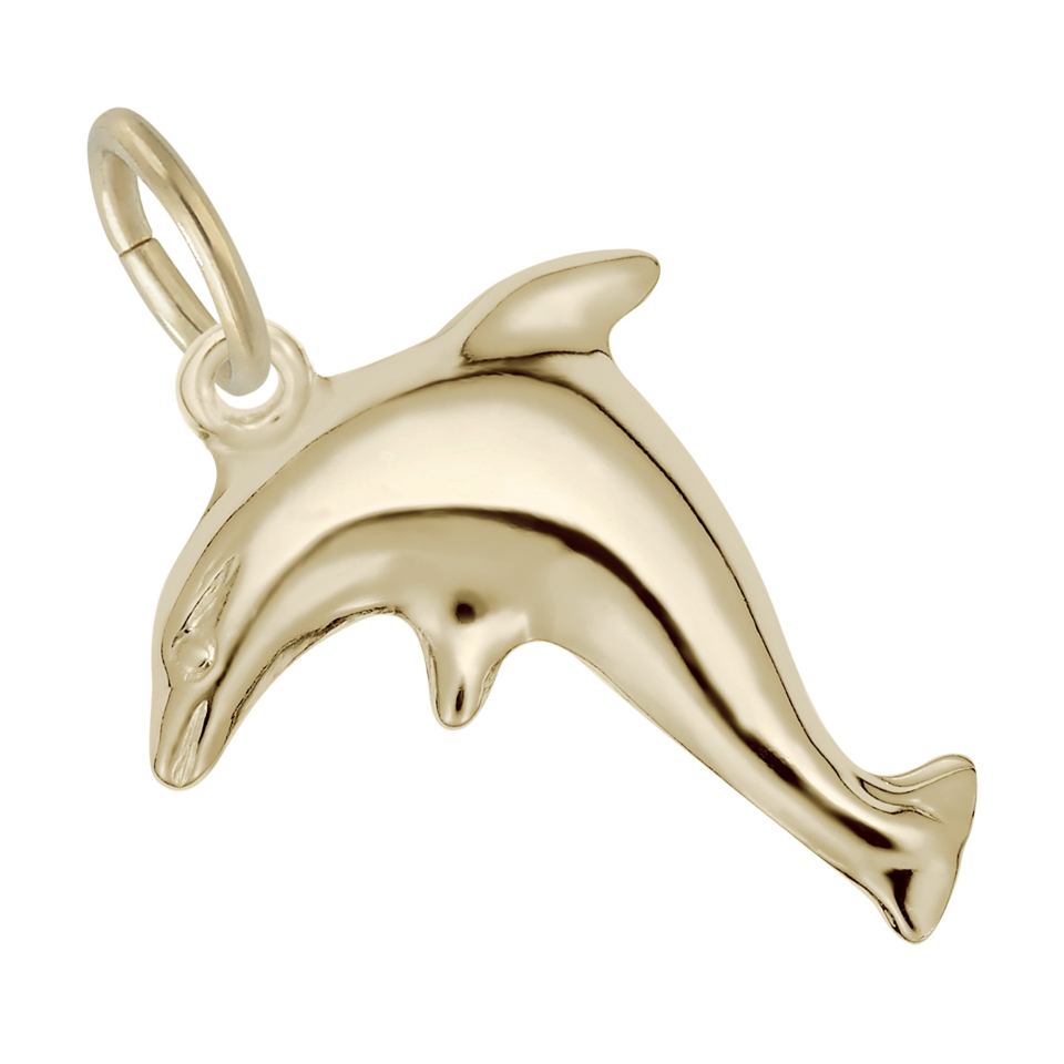 Pendentif en argent 925, dauphin - 10-6073-000-GP - Rembrandt Charms