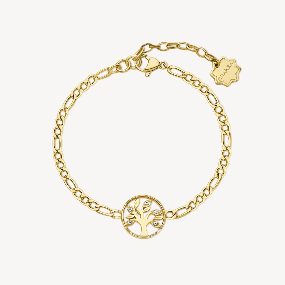 Bracelet pour femme en stainless, cubic zirconium, arbre de vie - BHKB144 - Brosway