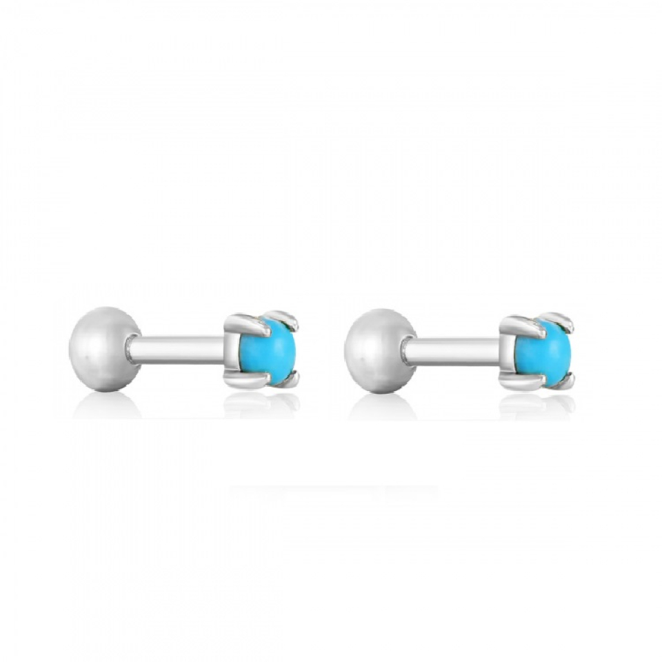Boucles d'oreilles pour femme en argent 925 - E035-13H - Ania Haie