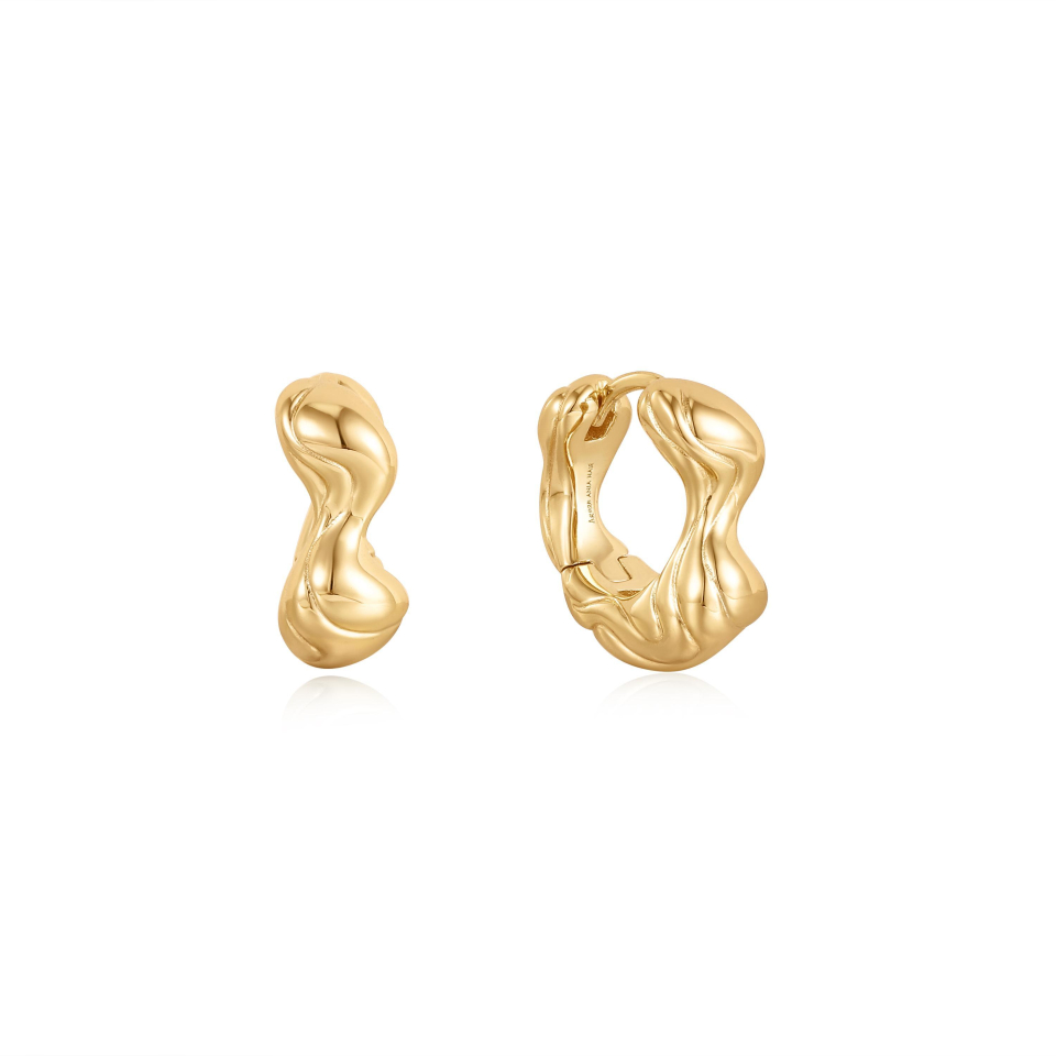 Boucles d'oreilles pour femme en argent 925 - E050-04G - Ania Haie