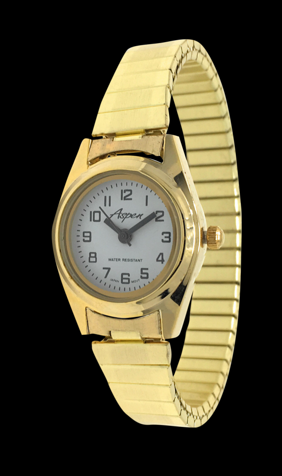 Montre pour femme, bracelet élastique - AP3004 - Aspen