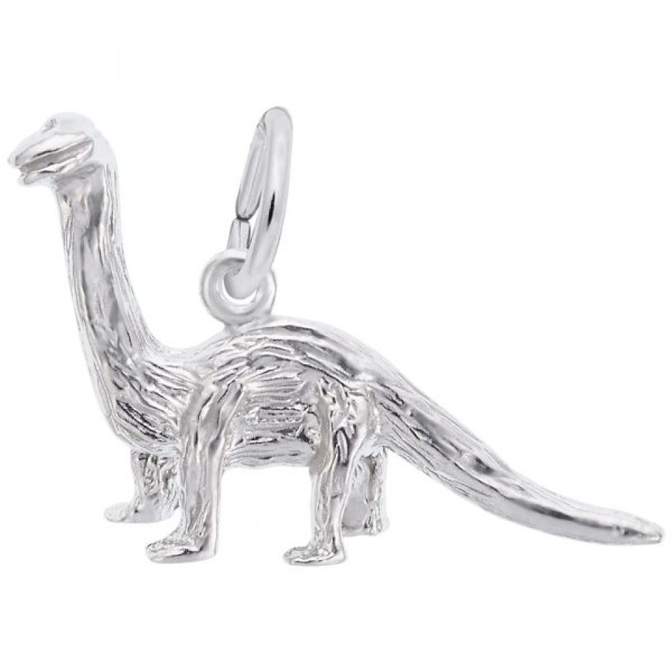 Pendentif en argent 925, long-cou - 10-1780-000 - Rembrandt Charms