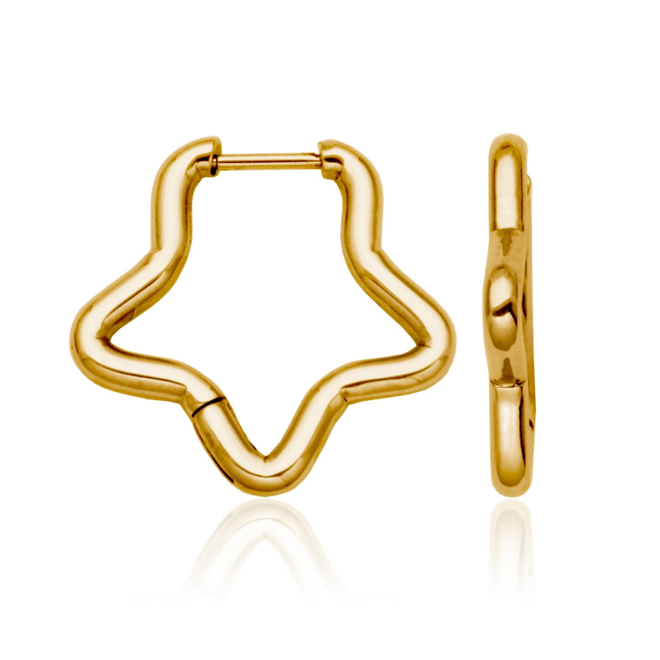 Boucles d'oreilles pour femme en stainless, étoiles - T2XH230200 - Steelx