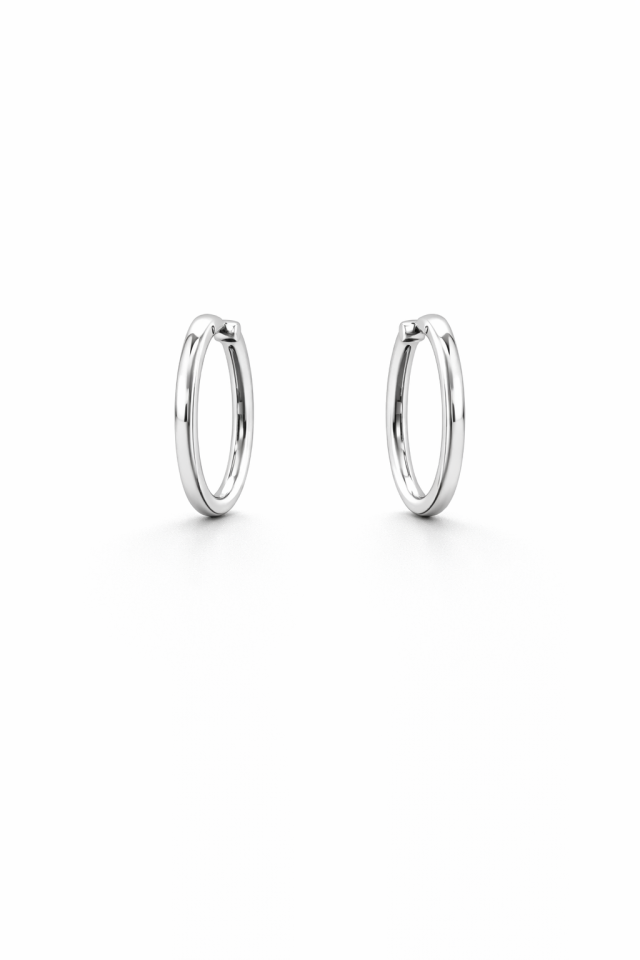 Boucles d'oreillles unies pour femme en stainless