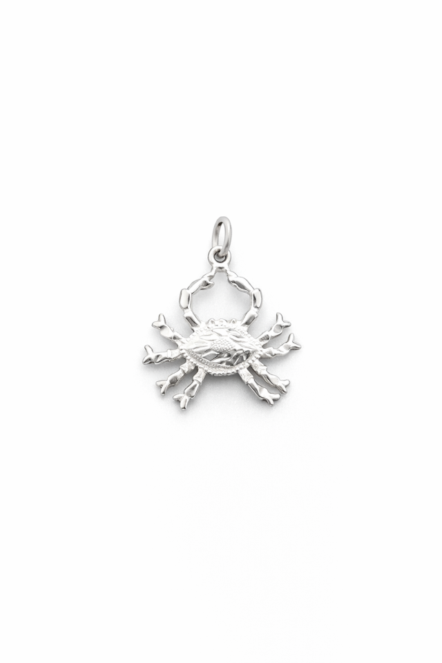 Pendentif en argent 925, crabe - PD811 - Divers