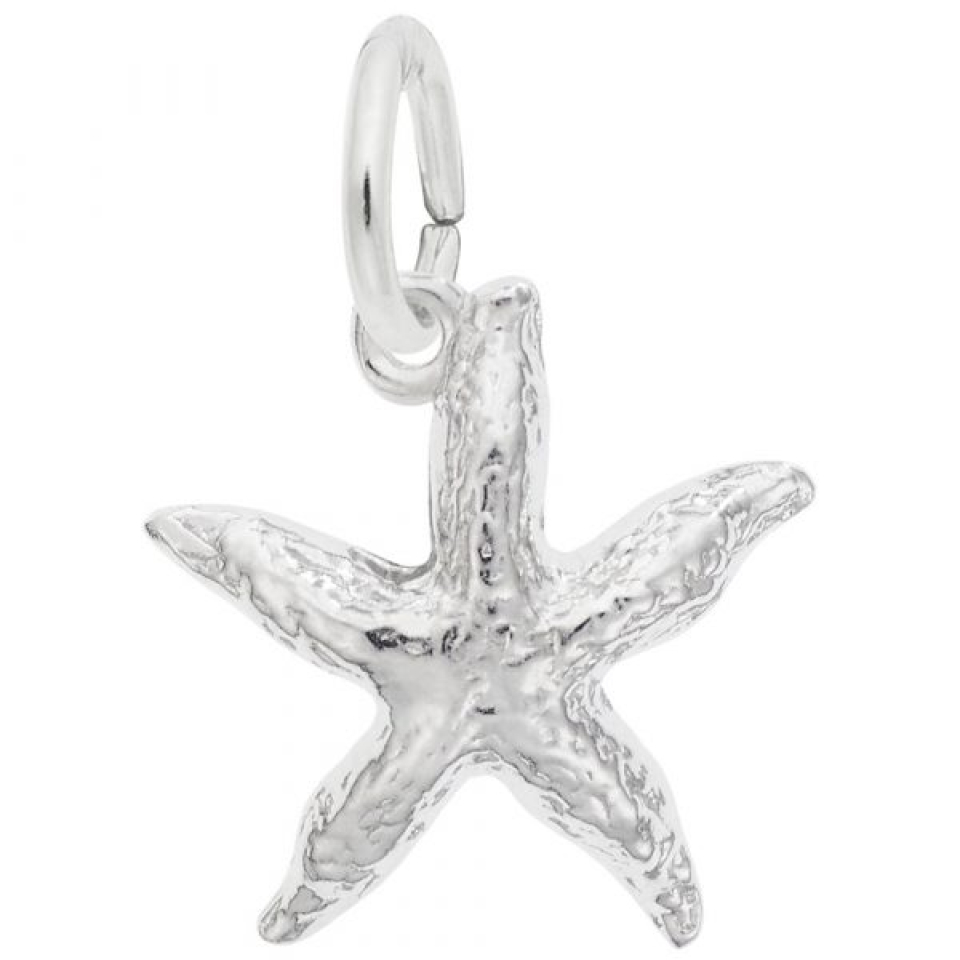 Pendentif en argent 925, étoile de mer - 10-0533-000 - Rembrandt Charms