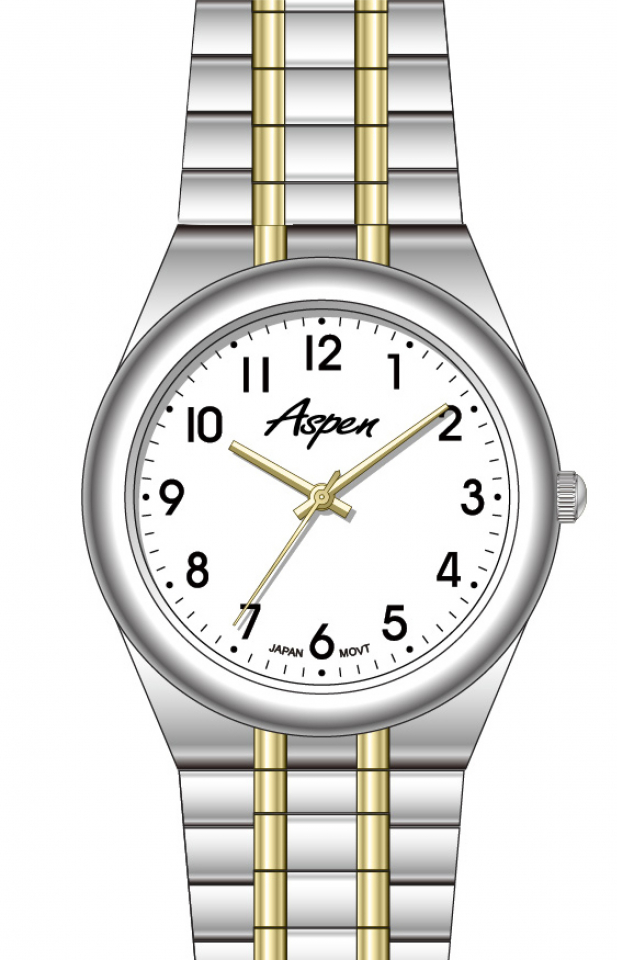 Montre homme, bracelet élastique - AP2000-5 - Aspen