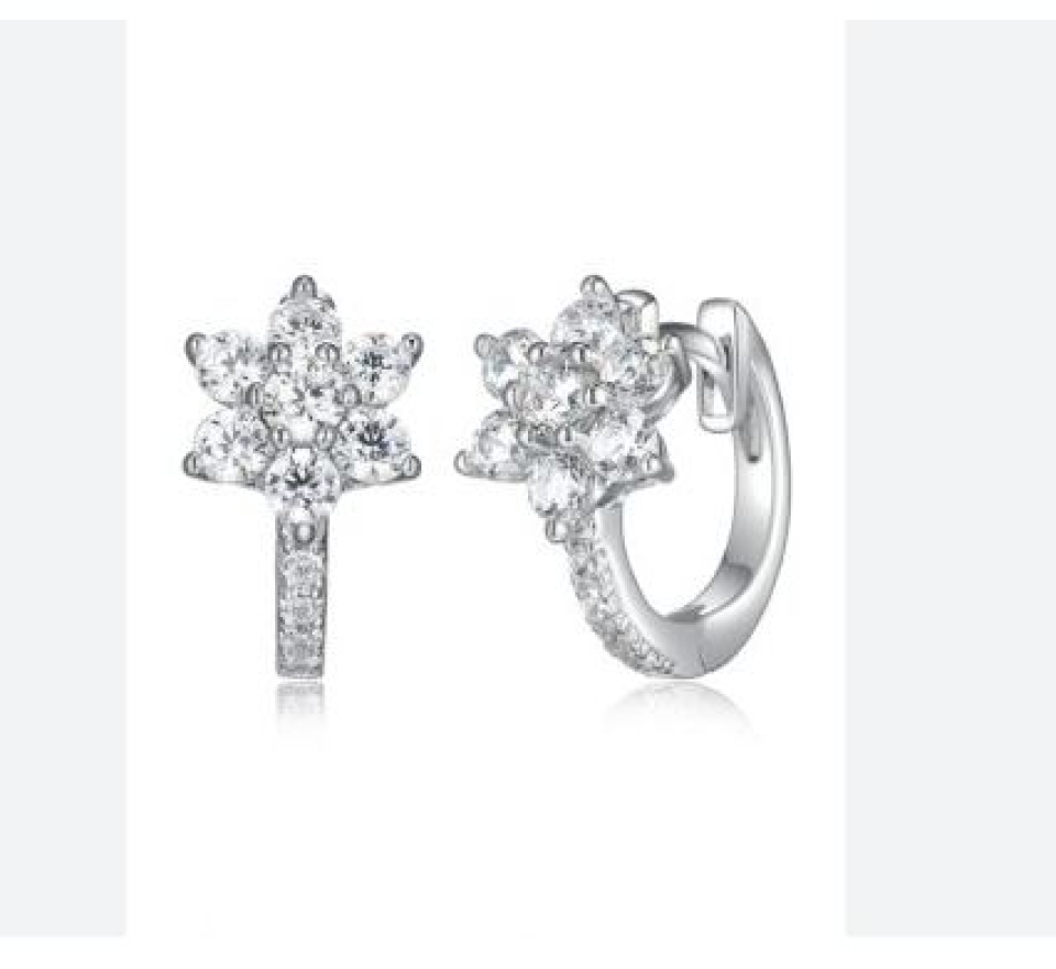 Boucles d'oreilles pour femme en argent 925, zircons - R2AP8Y0027 - Reign