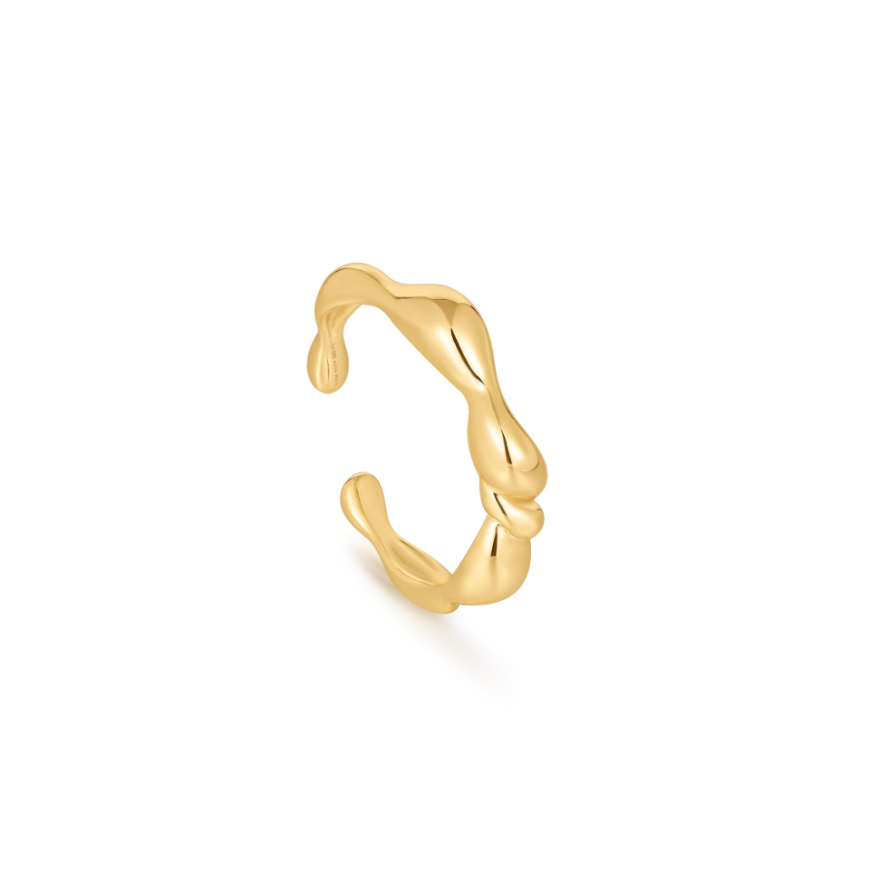 Bague pour femme en argent 925 - R050-01G - Ania Haie