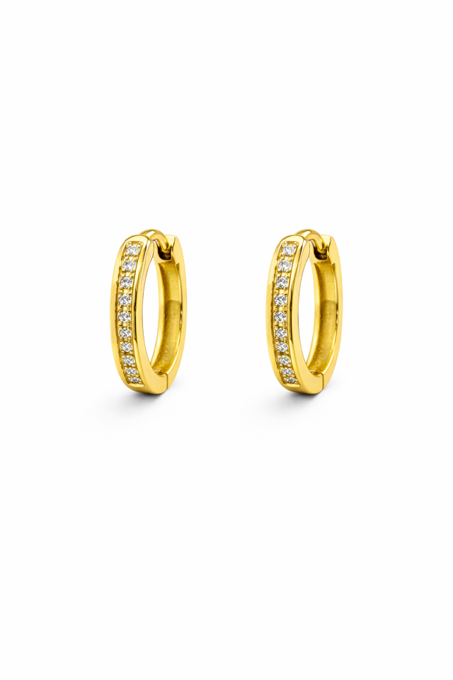 Boucles d'oreilles pour femme en stainless, cubic zirconium - BO-NATH062-13-G - Nathalie Belanger