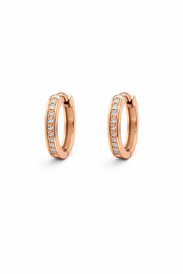 Boucles d'oreilles pour femme en stainless, cubic zirconium - BO-NATH062-16-R - Nathalie Belanger